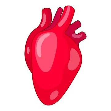 Human heart beating, pumping blood in cardiovascular system Stock Illustration