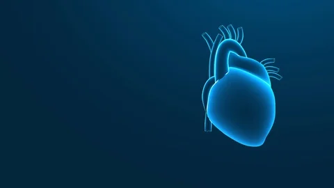 Human Heart Beating X ray,video animation on blue background. Stock Footage