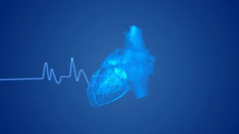 Human heart with a cardiogram line Stock Illustration