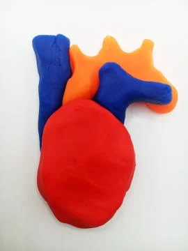 Human Heart Clay Stock Photos