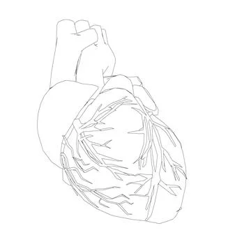 Human-heart-contour Stock Illustration