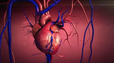 Human heart Video stock 46795929