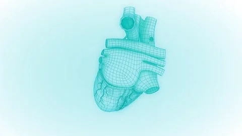 Human Heart Stock Footage 257076982