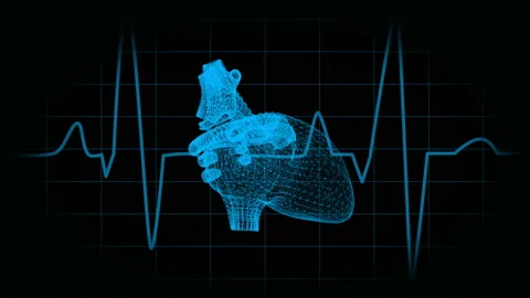 The human heart in the form of particles and plexus. Video stock 88456672