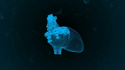 The human heart in the form of particles and plexus. Stock Footage 88484432