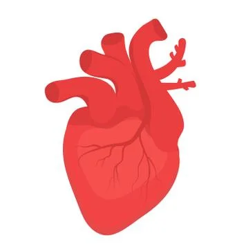 Human heart icon, flat style. Internal organs symbol. Anotomy, cardiology Stock Illustration