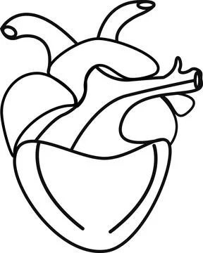 Human Heart icon 스톡 일러스트