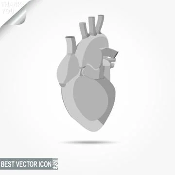 Human heart icon - vector illustration Stock Illustration