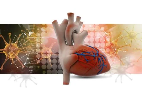 Human heart Stock Illustration