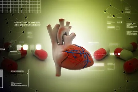 Human heart Illustrazione stock