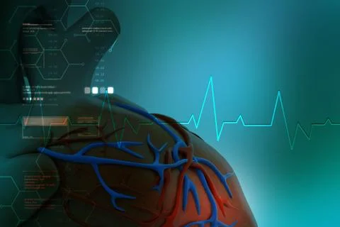 Human heart Stock Illustration