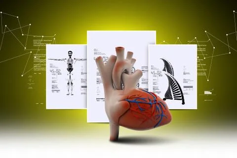 Human heart Stock Illustration