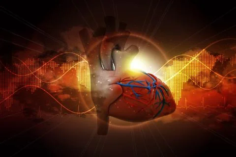Human heart Stock Illustration