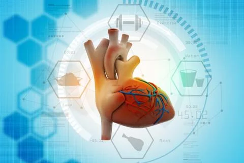 Human heart Illustrazione stock