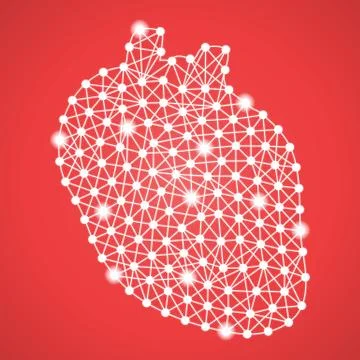 Human Heart Isolated On A Red Background. Vector Illustration. Stock Illustration