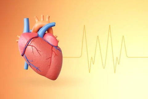 Human heart model on bright background Stock Illustration