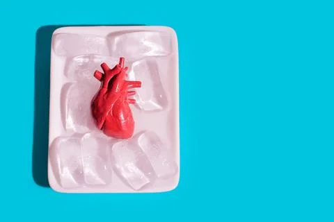 Human Heart Model on Ice Cubes in White Tray Against Blue Background Foto stock