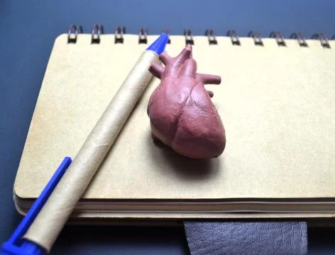 Human heart model on notebook with pen over dark surface symbolizing cardio.. Foto stock