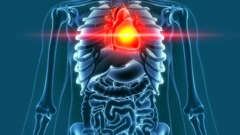 Human heart pain 3d rendering 스톡 일러스트