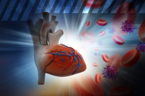 Human heart with platelets and virus in color background Stock Illustration