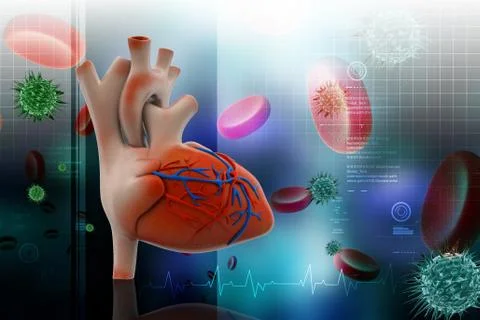 Human heart with platelets in color background Stock Illustration