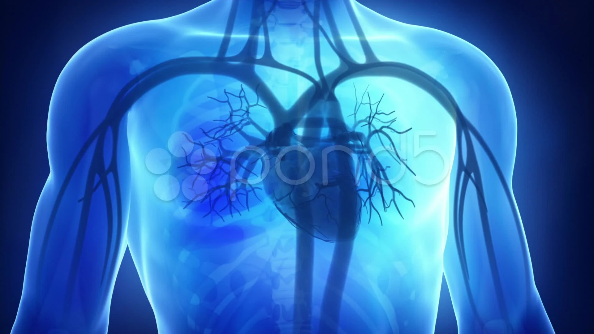 Cardiology Background Images, HD Pictures and Wallpaper For Free Download |  Pngtree