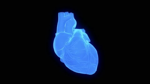 Human heart scan. Stock Footage 93924201