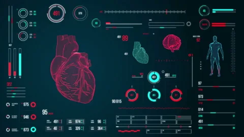 Human heart scan. Stock Footage 118877312