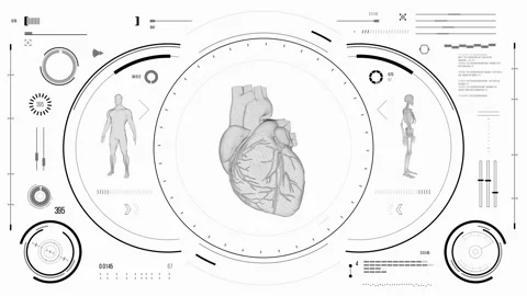 Human heart scan. Stock Footage 118879326