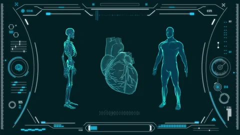 Human heart scan. Stock Footage 118879572