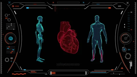 Human heart scan. Stock Footage 118879601