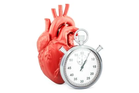 Human heart with stopwatch, 3D rendering Stock Illustration
