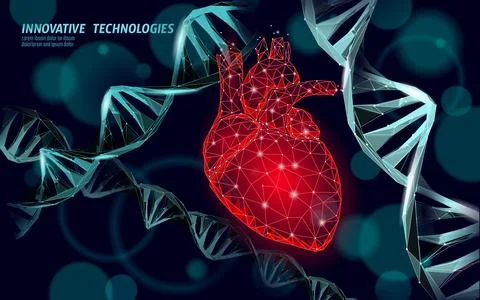Human heart surrounded by DNA molecules in electric blue color, gene therapy Stock-Illustration