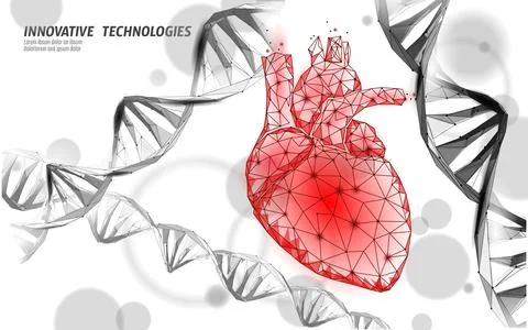 Human heart surrounded by DNA molecules in electric blue color, gene therapy Stock Illustration