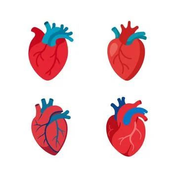 Human heart vector art illustration elements bundle Illustrazione stock