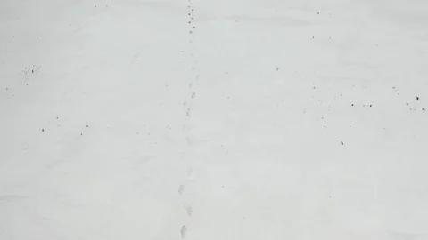 Human with heavy backpack walking by snow desert in Alaska. Video stock 125724094
