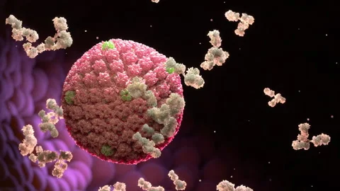Human Herpes Virus Vidéo 243262392