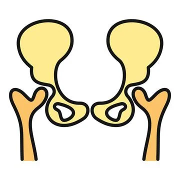 Human hip joint bones showing anatomy illustration Stock Illustration