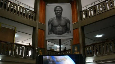 Human history museum Stock Footage 46472315
