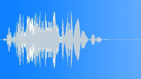 HUMAN, HIT - BODY OR FACE PUNCH ~ Stock Sound #167817990