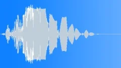 HUMAN, HITSound Effect