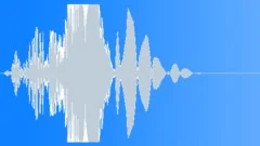 HUMAN, HIT Sound Effect