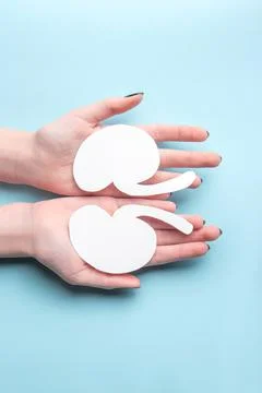 Human hold model of a human kidney made of white paper on a blue background Stock Photos