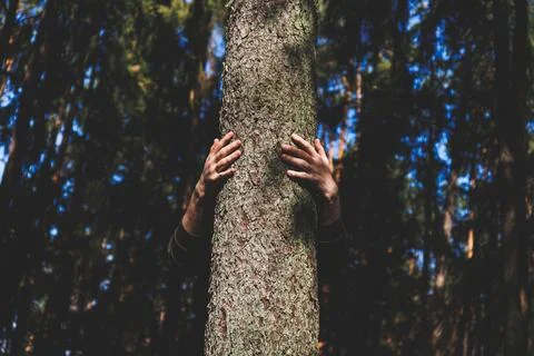 Human hug a tree in the dramatic light at the forest. Nature love. Earth day Foto stock