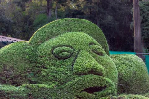 Human imaginary face with green leafs Stock Photos