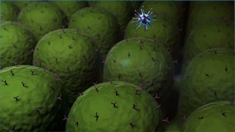 Human Immune System attack the virus, Coronavirus atack the lungs cell Stock Footage 122946269