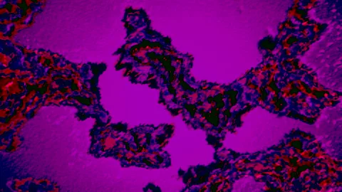 Human immune system virus moving across screen. Motion. Bacteria virus or germs Stock Footage 236035467