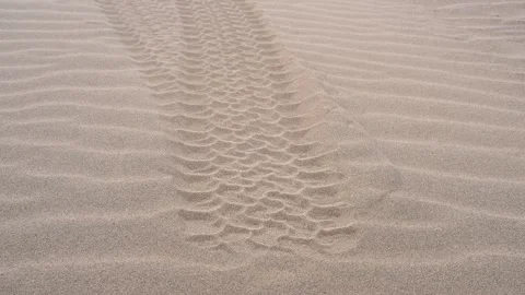 Human Impact on a Remote Landscape: Tire Tread Marks on a Mongolian Sand Dune's Stock Footage 318278926