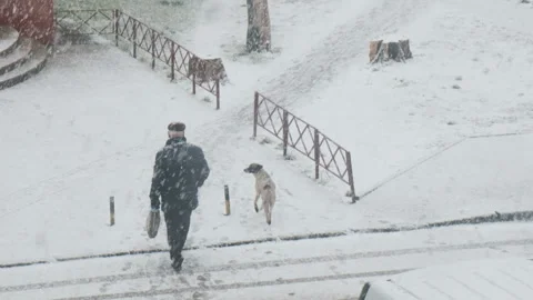 Human indifference. The man and stray dog in the snowy winter on the street Video stock 165974493