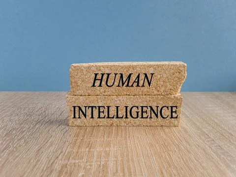 Human intelligence symbol. Concept word Human intelligence on brick blocks. 写真素材